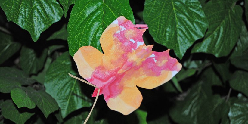 Ein gebastelter Schmetterling wurde an eine Pflanze geheftet