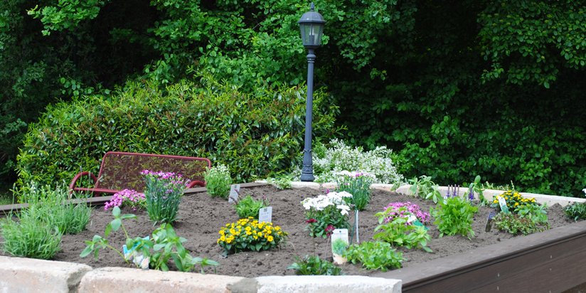 Blumenbeet mit blühenden Pflanzen im Garten des Seniorencentrums 