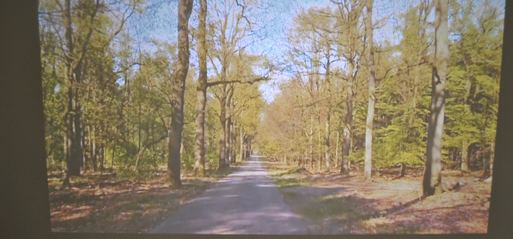 Virtueller Spaziergang mit dem Qwiek-up-Gerät